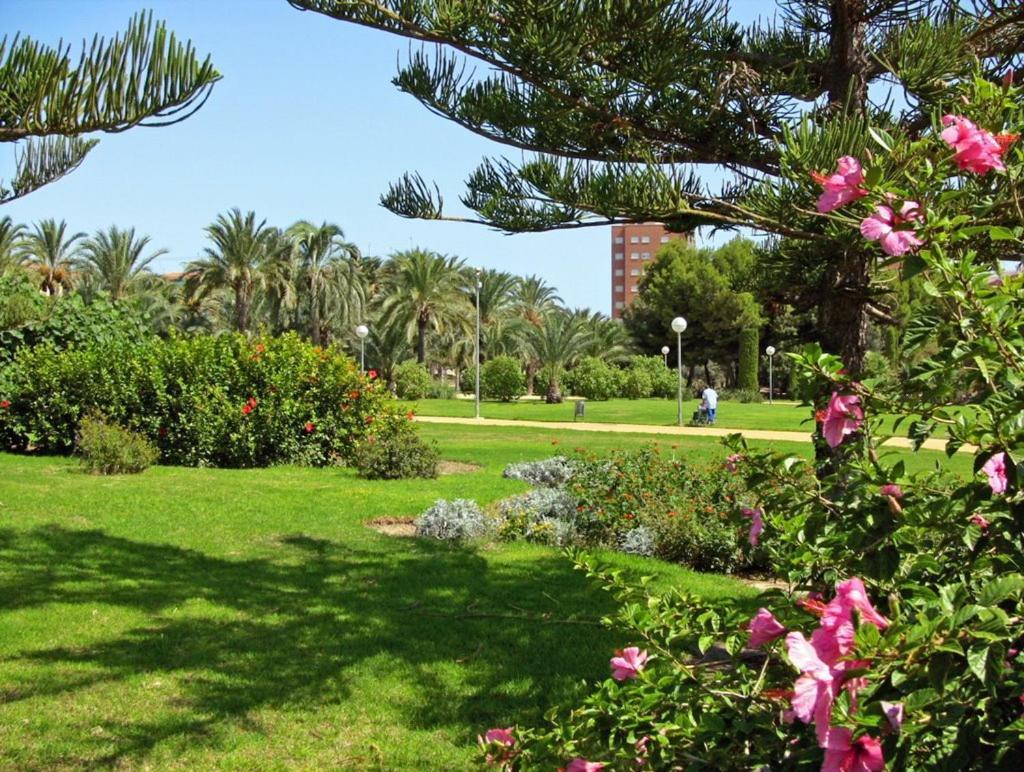 Apartament 30-3- Бюджетная Комната В Квартире Для 2 Человека, Alicante Zewnętrze zdjęcie